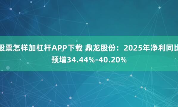 股票怎样加杠杆APP下载 鼎龙股份：2025年净利同比预增34.44%-40.20%