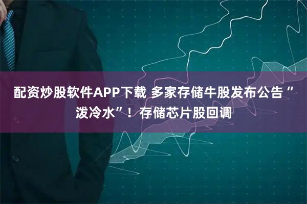 配资炒股软件APP下载 多家存储牛股发布公告“泼冷水”！存储芯片股回调